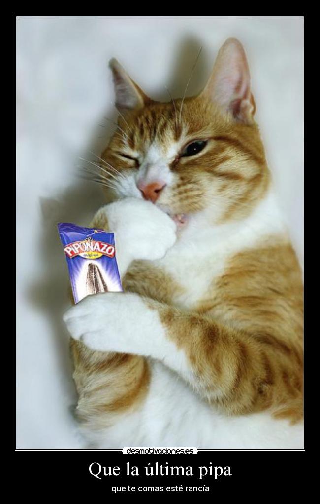 Que la última pipa - que te comas esté rancía