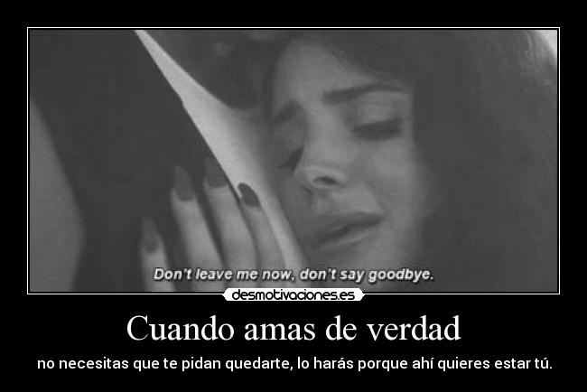 carteles desmopornositas yelo cantandote que haria una casita laito miaa desmotivaciones