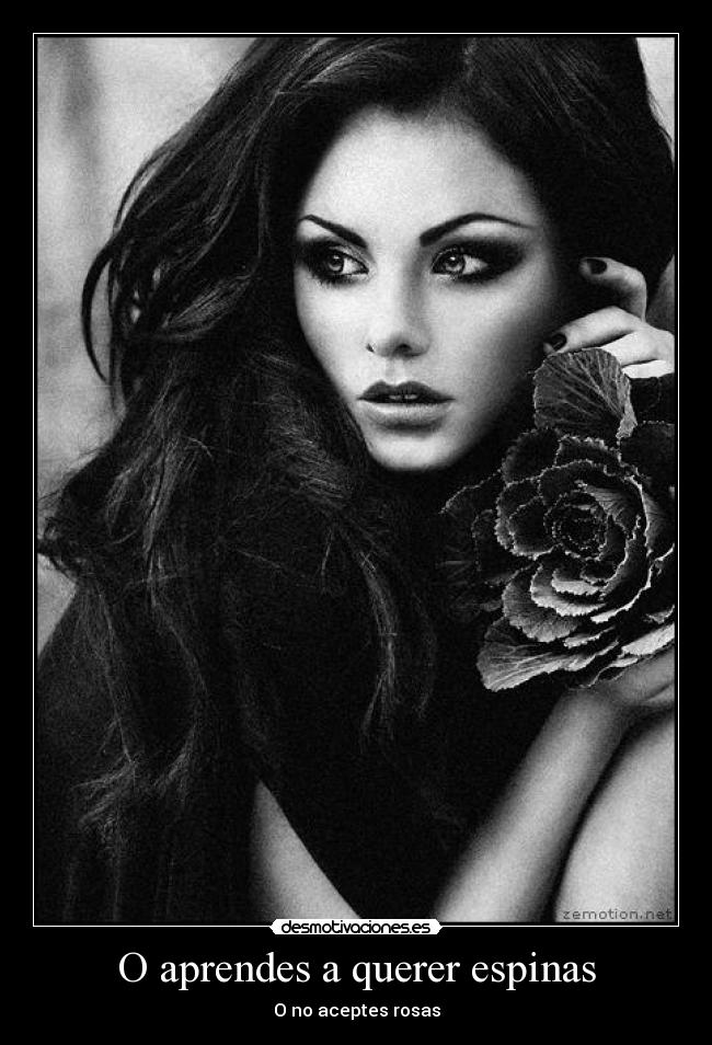 O aprendes a querer espinas -