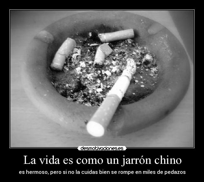 carteles vida vida desmotivaciones