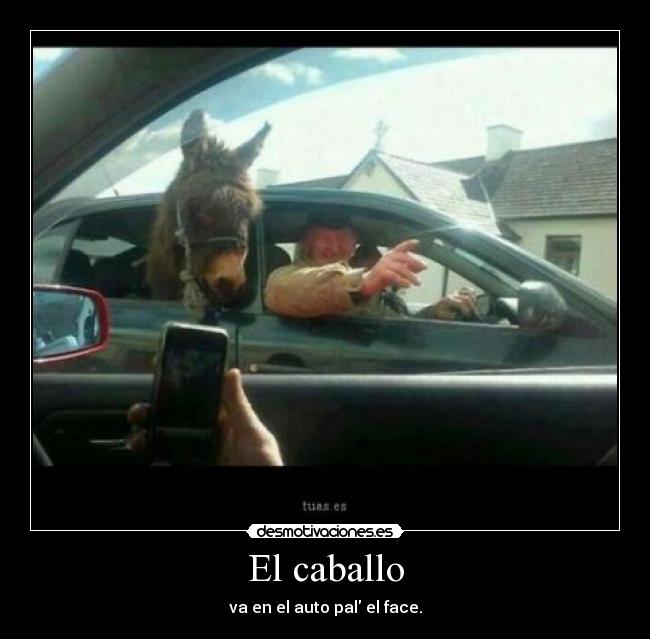 El caballo - 