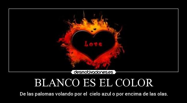 BLANCO ES EL COLOR - De las palomas volando por el  cielo azul o por encima de las olas.