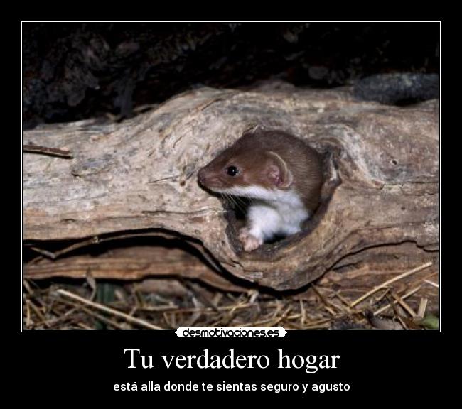 Tu verdadero hogar - 