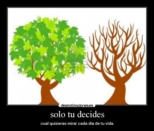 solo tu decides - cual quisieras mirar cada día de tu vida.
