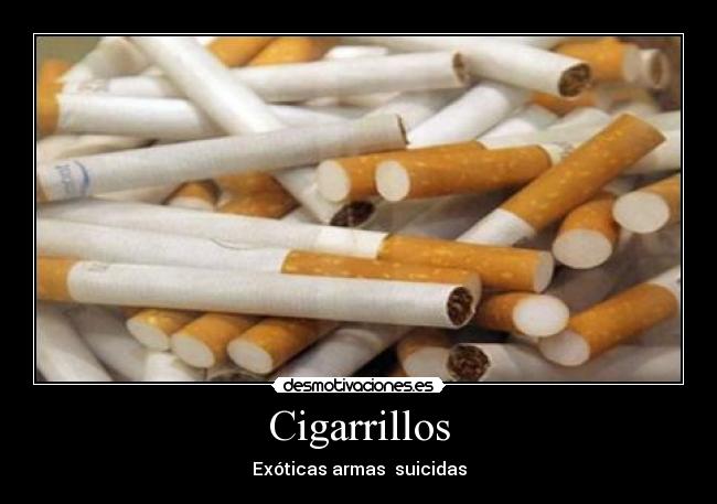 Cigarrillos - 