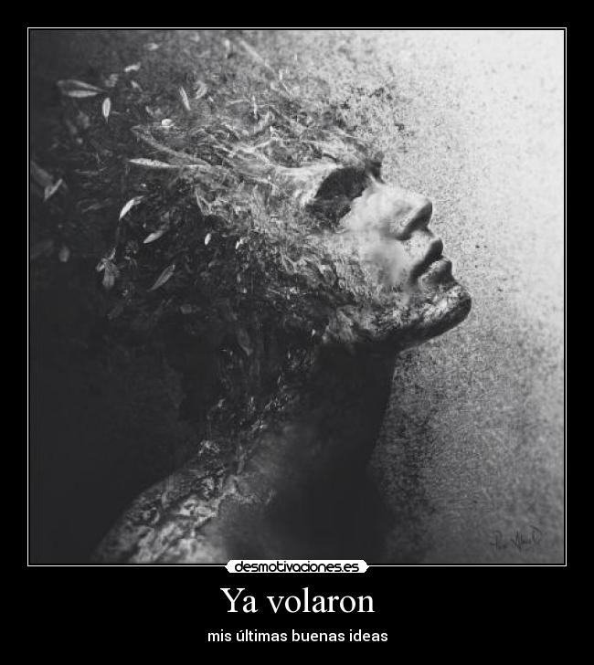 Ya volaron - 