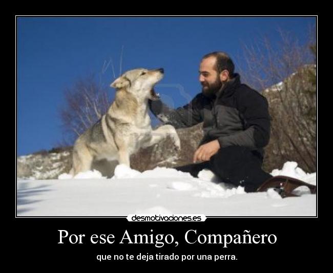 Por ese Amigo, Compañero - que no te deja tirado por una perra.