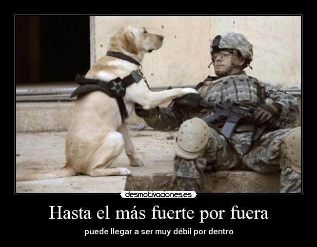 Hasta el más fuerte por fuera - puede llegar a ser muy débil por dentro