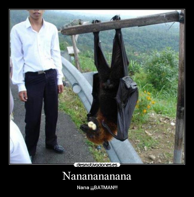 Nananananana - Nana ¡¡¡BATMAN!!!