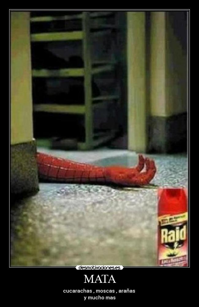 MATA - cucarachas , moscas , arañas
y mucho mas