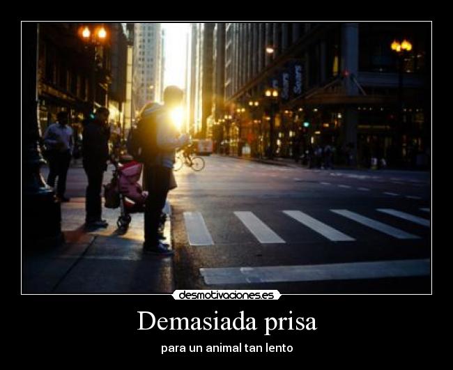 Demasiada prisa - para un animal tan lento