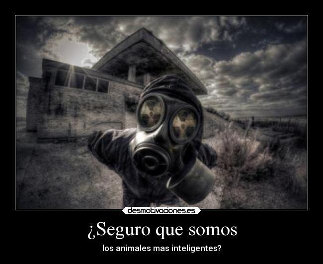 ¿Seguro que somos - los animales mas inteligentes?