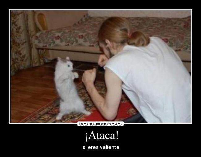 ¡Ataca! -