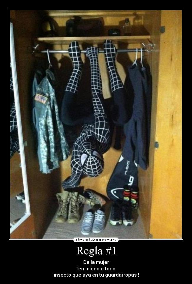 Regla #1 - De la mujer
Ten miedo a todo 
insecto que aya en tu guardarropas !