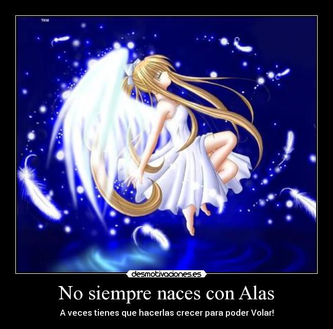 carteles sachiechan desmotivaciones