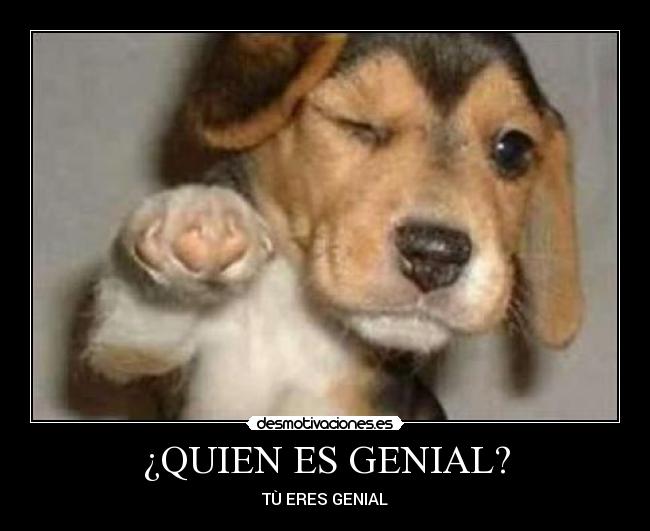 ¿QUIEN ES GENIAL? - TÙ ERES GENIAL