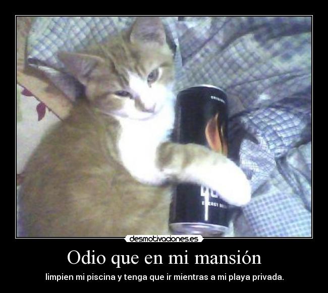 Odio que en mi mansión -