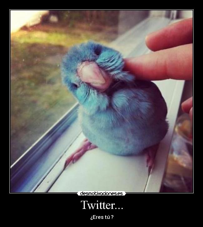 Twitter... - 