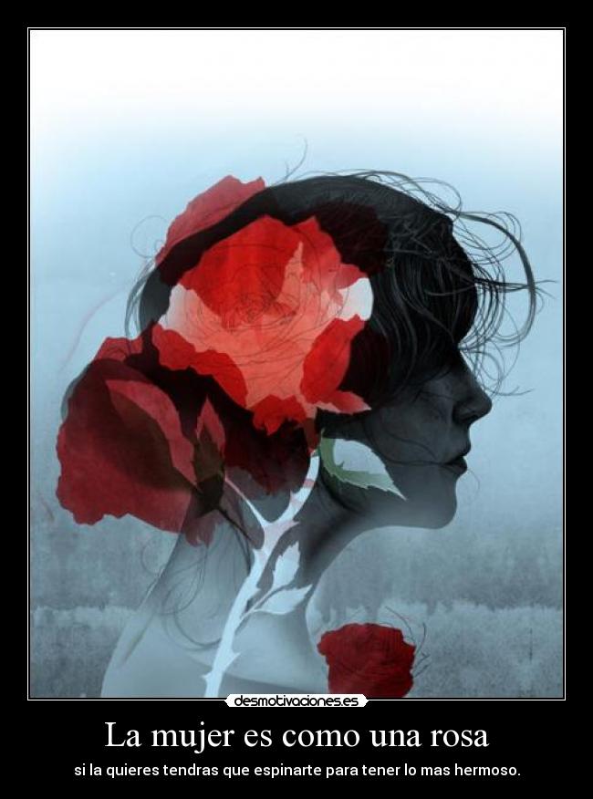 La mujer es como una rosa -