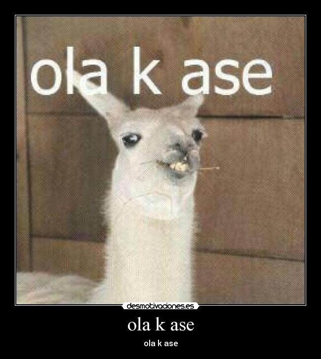 ola k ase - ola k ase