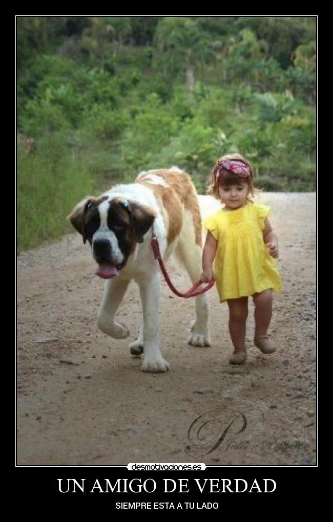 UN AMIGO DE VERDAD - SIEMPRE ESTA A TU LADO