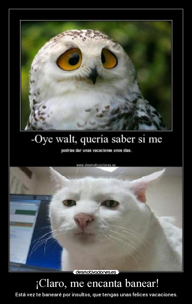 ¡Claro, me encanta banear! -