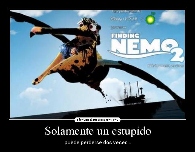 Solamente un estupido - puede perderse dos veces...