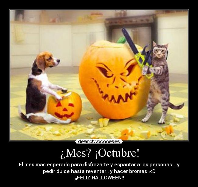 ¿Mes? ¡Octubre! -