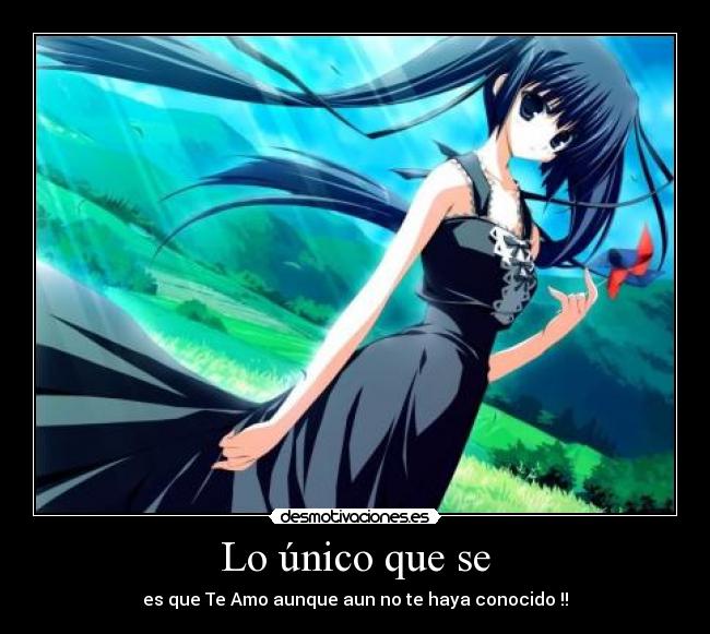 Lo único que se - 