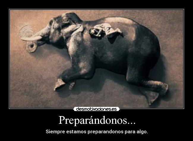 Preparándonos... -