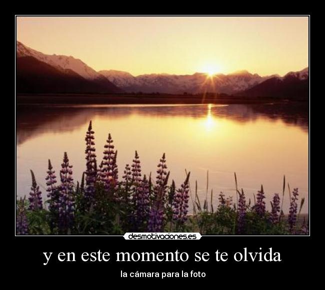 y en este momento se te olvida -