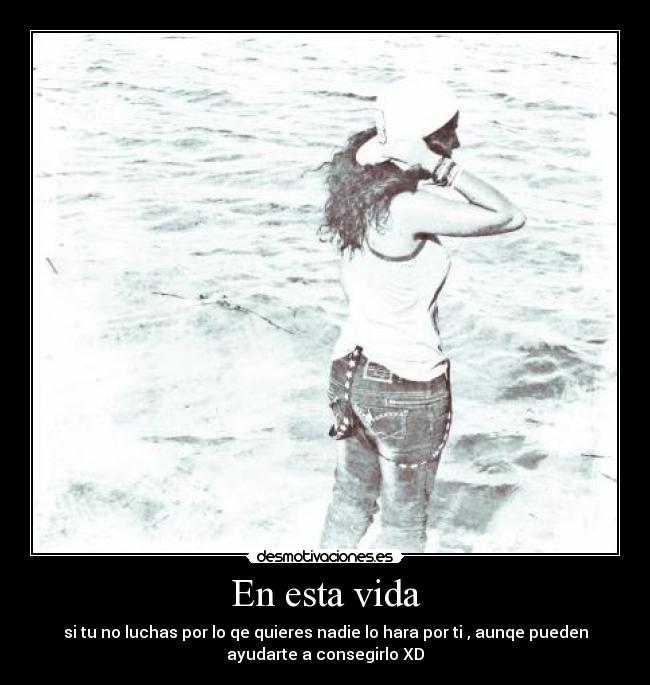 carteles vida free desmotivaciones