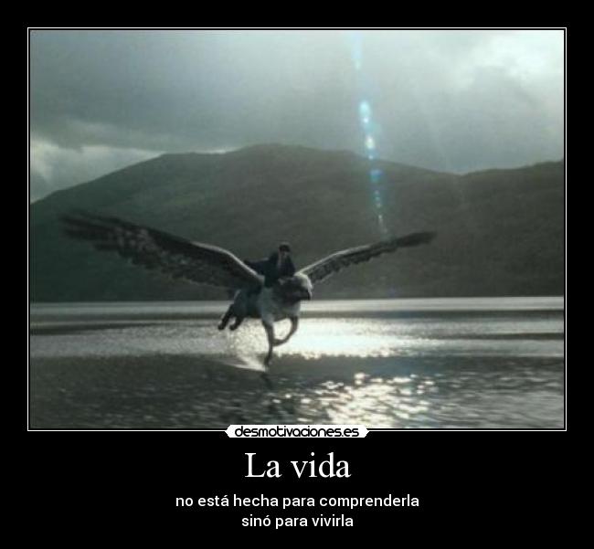 carteles vida jorge santayana harry potter con buckbeak desmotivaciones