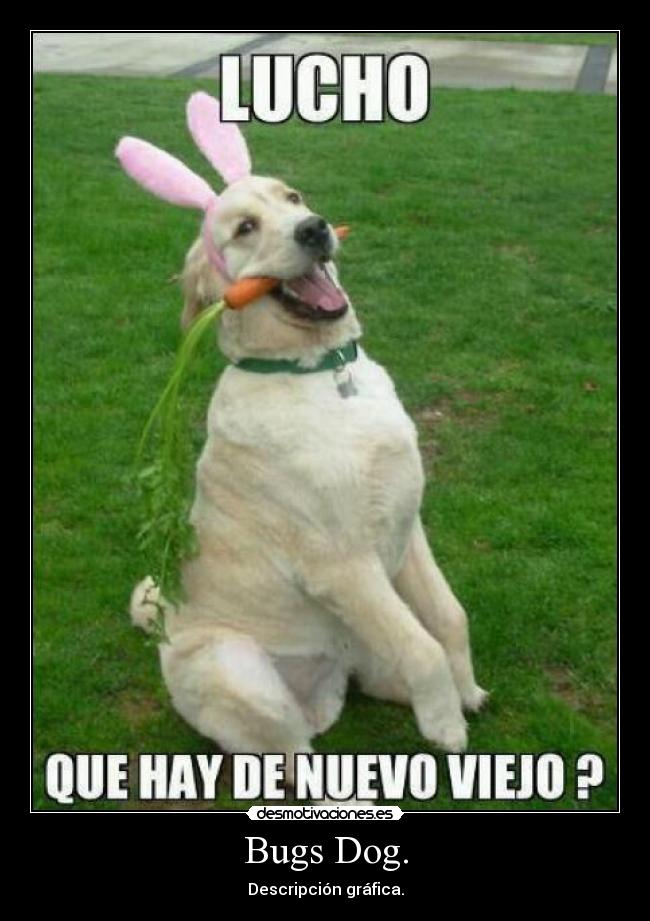 Bugs Dog. - Descripción gráfica.