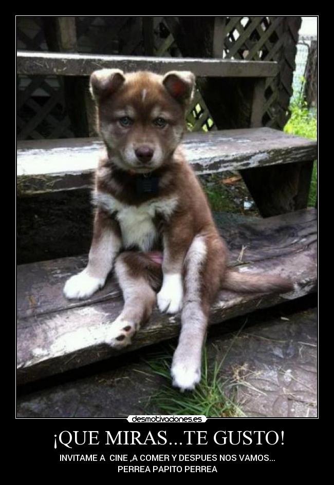 ¡QUE MIRAS...TE GUSTO! -