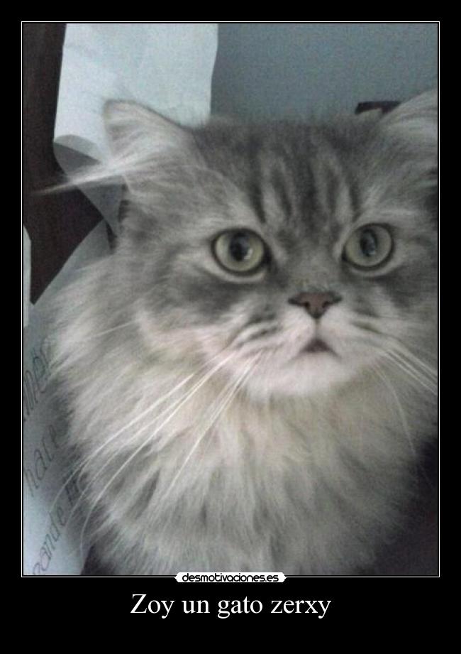 carteles gatu aburro desmotivaciones