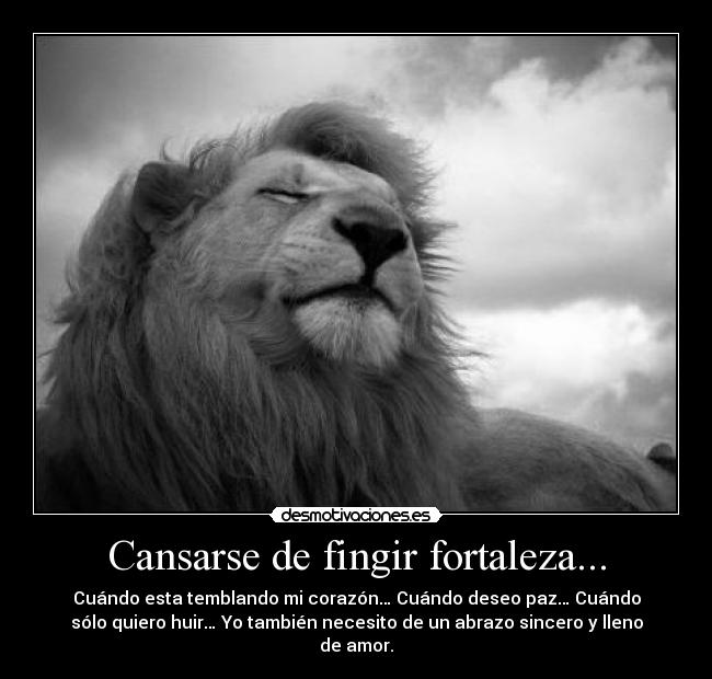 carteles sabiduria desmotivaciones