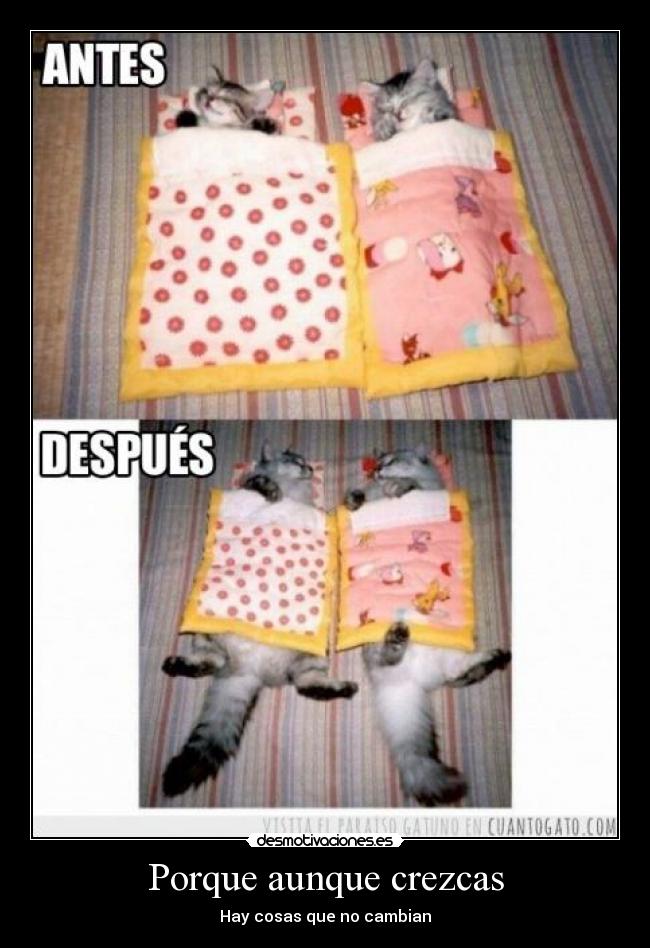 Porque aunque crezcas -