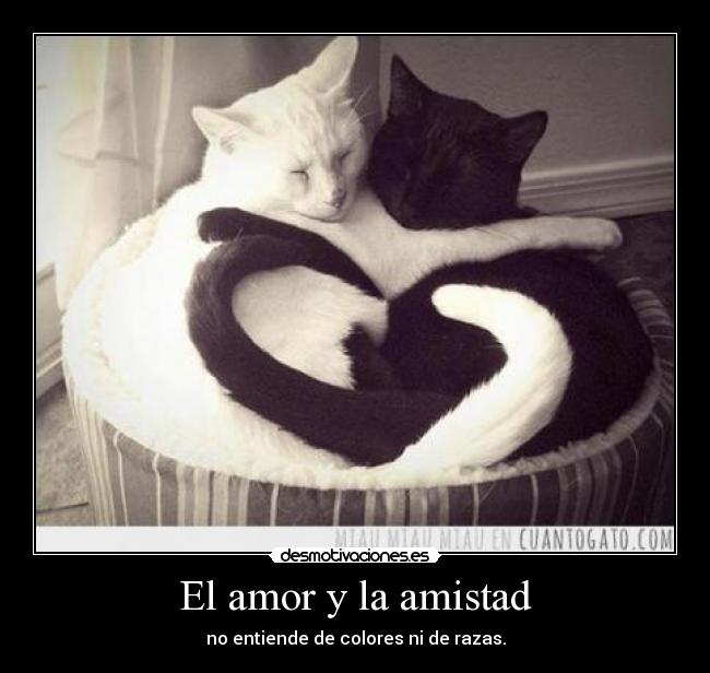 El amor y la amistad - no entiende de colores ni de razas.
