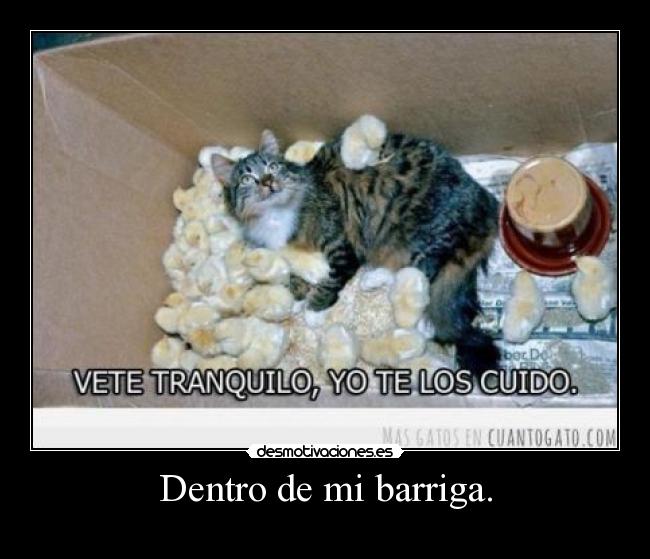 carteles gato desmotivaciones