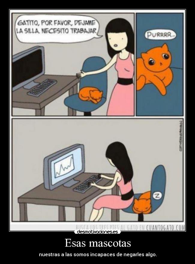 carteles gatosmujer computadora silla dormir desmotivaciones