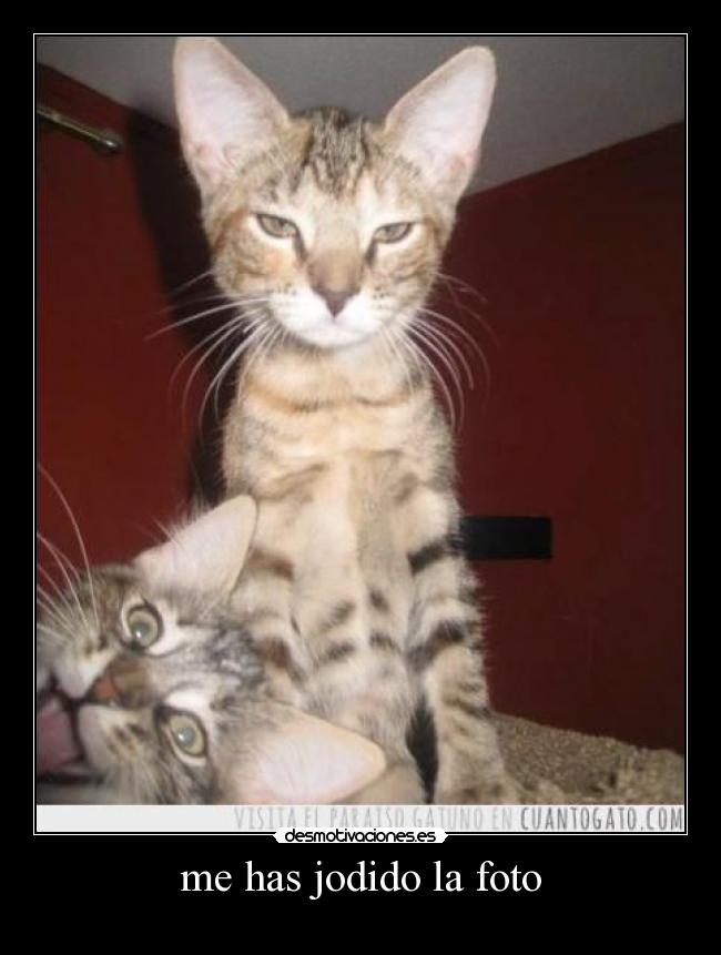 me has jodido la foto -