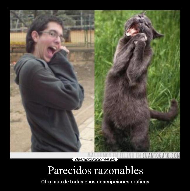 Parecidos razonables - Otra más de todas esas descripciones gráficas