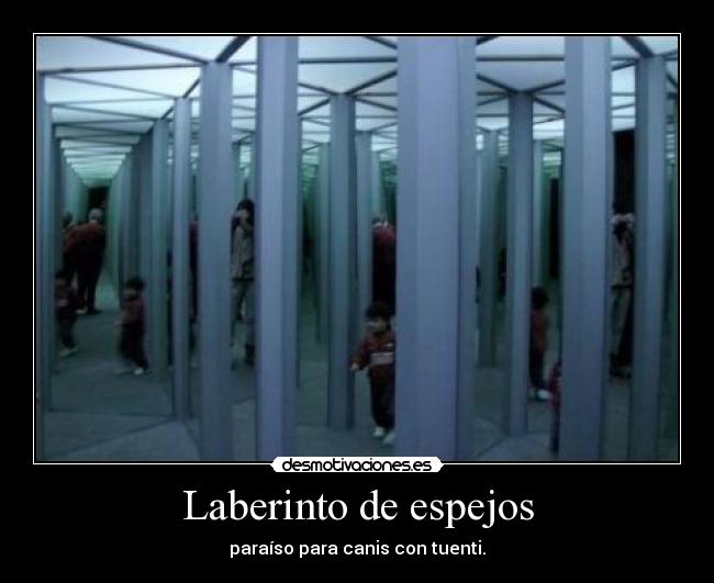 carteles luffy futuro rey los piratas desmotivaciones