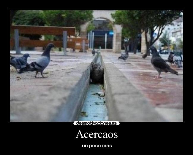 Acercaos - un poco más