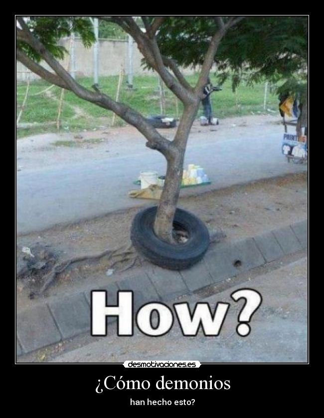 ¿Cómo demonios - han hecho esto?