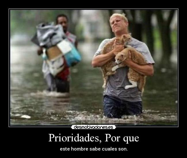 Prioridades, Por que -