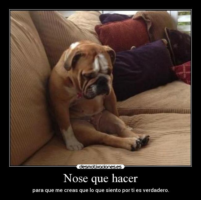 Nose que hacer - para que me creas que lo que siento por ti es verdadero.