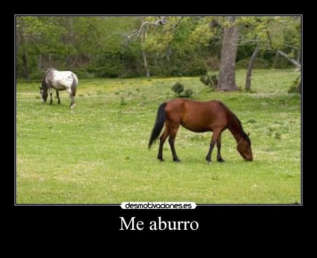 carteles fdfdff desmotivaciones