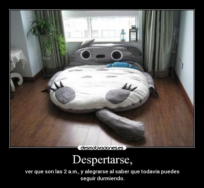 Despertarse, - ver que son las 2 a.m., y alegrarse al saber que todavía puedes seguir durmiendo.